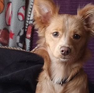 Meet your Posher, Tammy